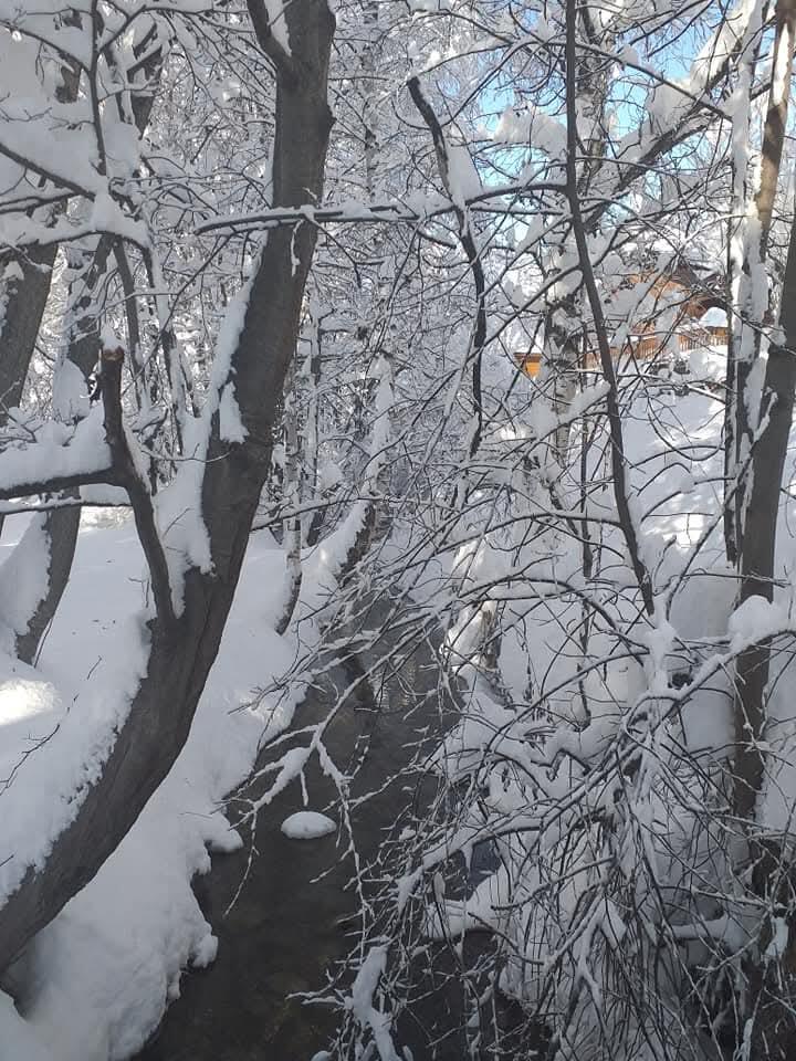 La nature [Photo de Severine Gigout]