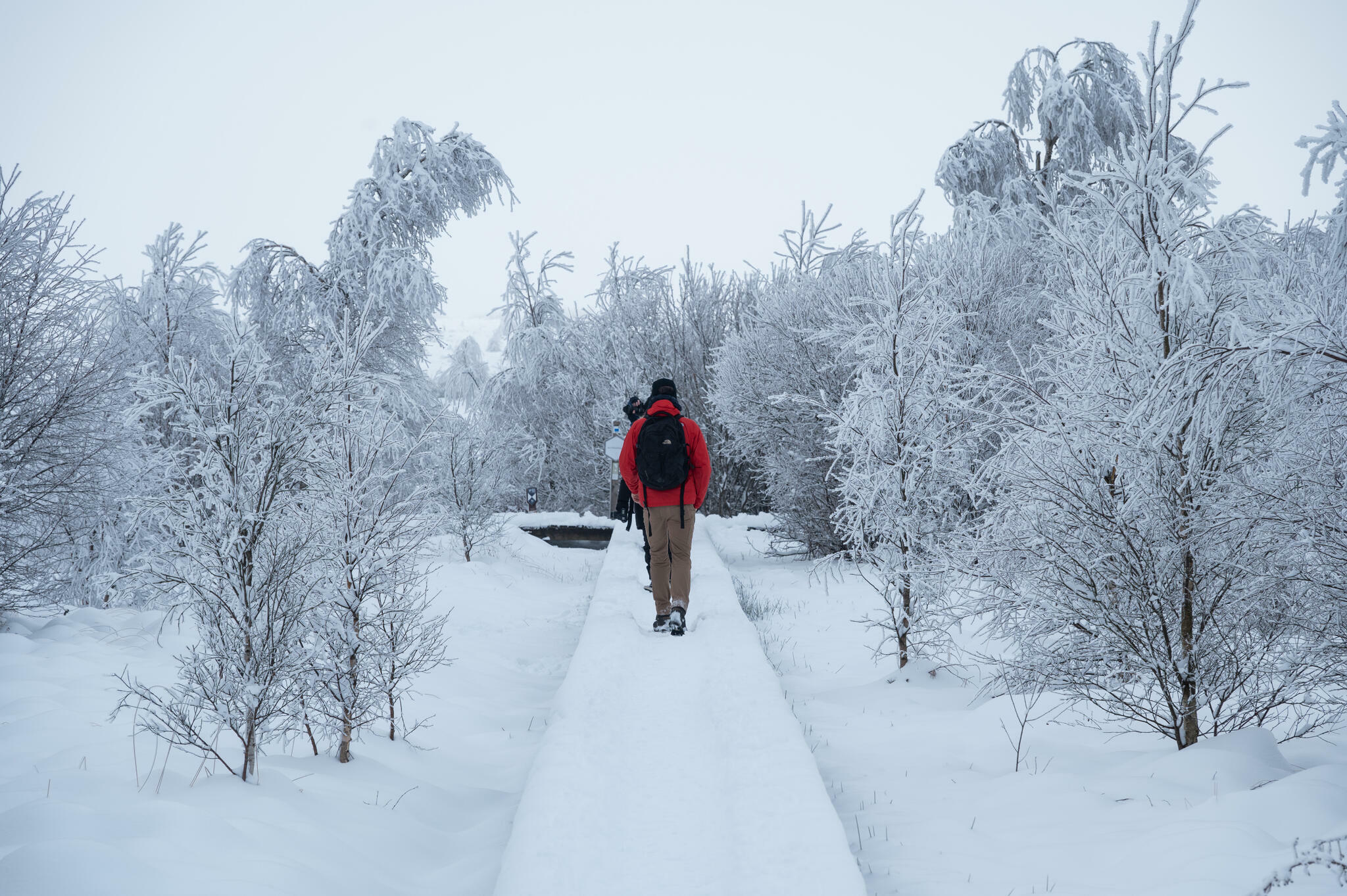 L'homme en rouge [Photo de Jean-Louis Darchambeau]