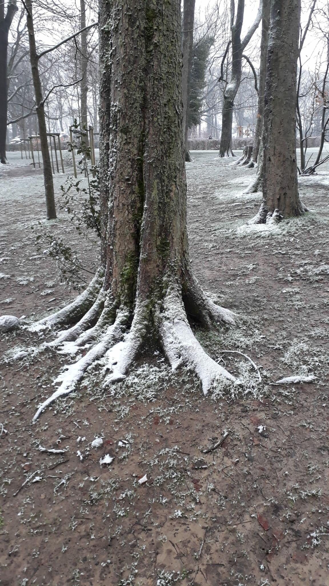 Sans titre [Photo de Daniele Deleglise]