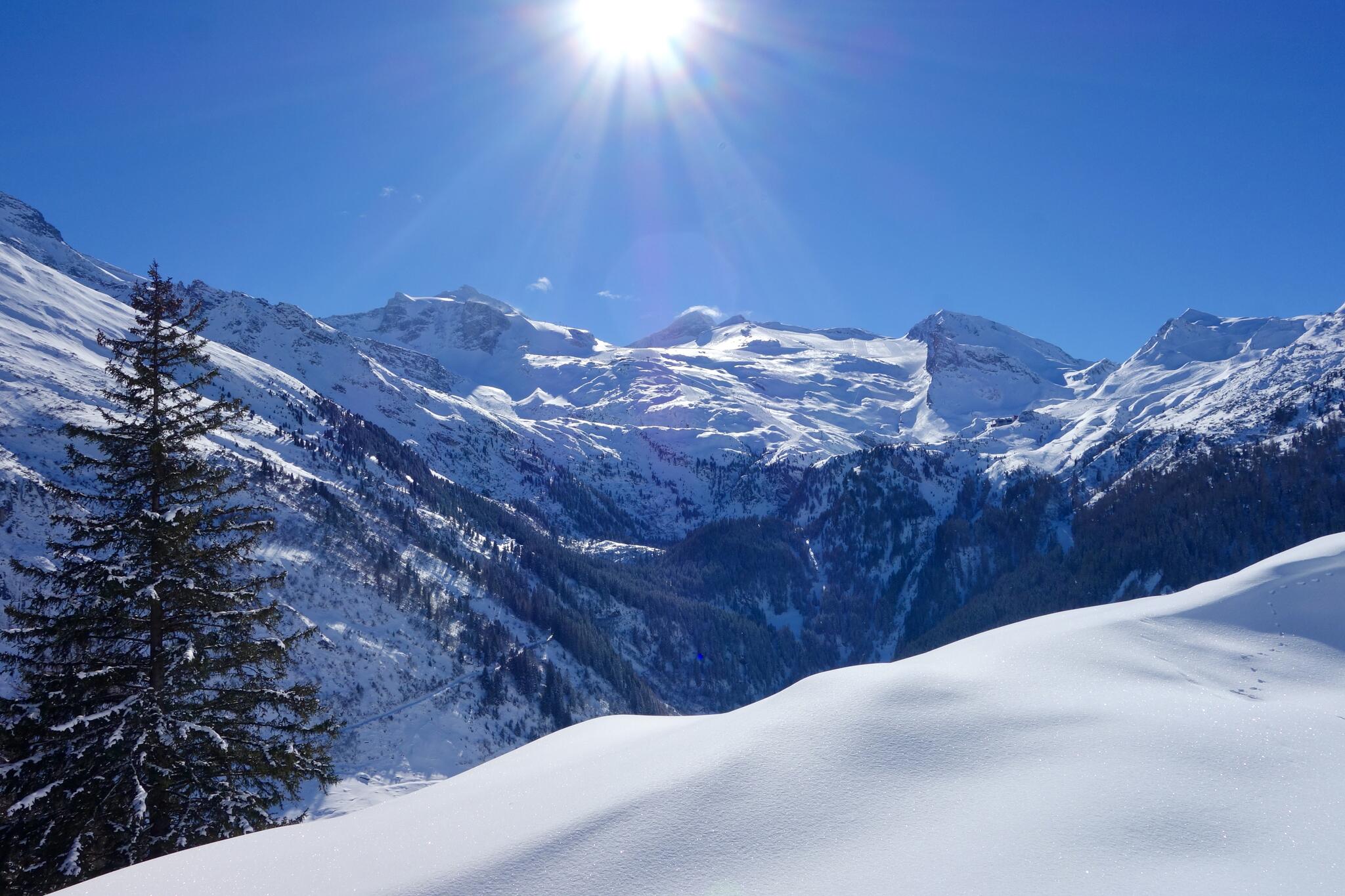 Quel monde merveilleux ! [Photo de Sophie Thiry]