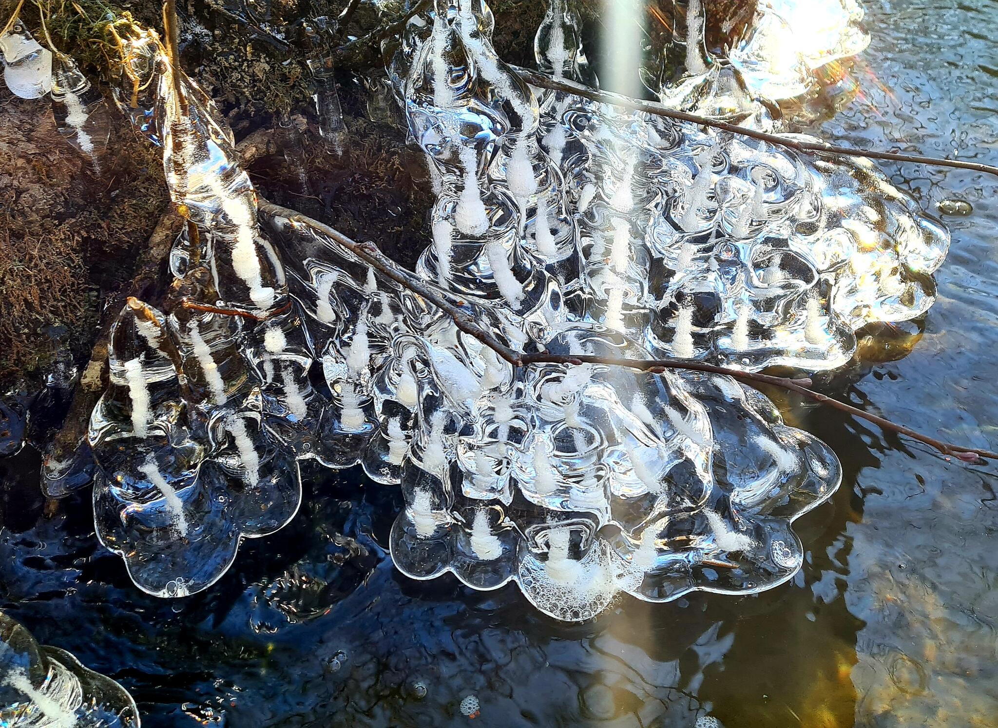 Sans titre [Photo de Orelia Politano]