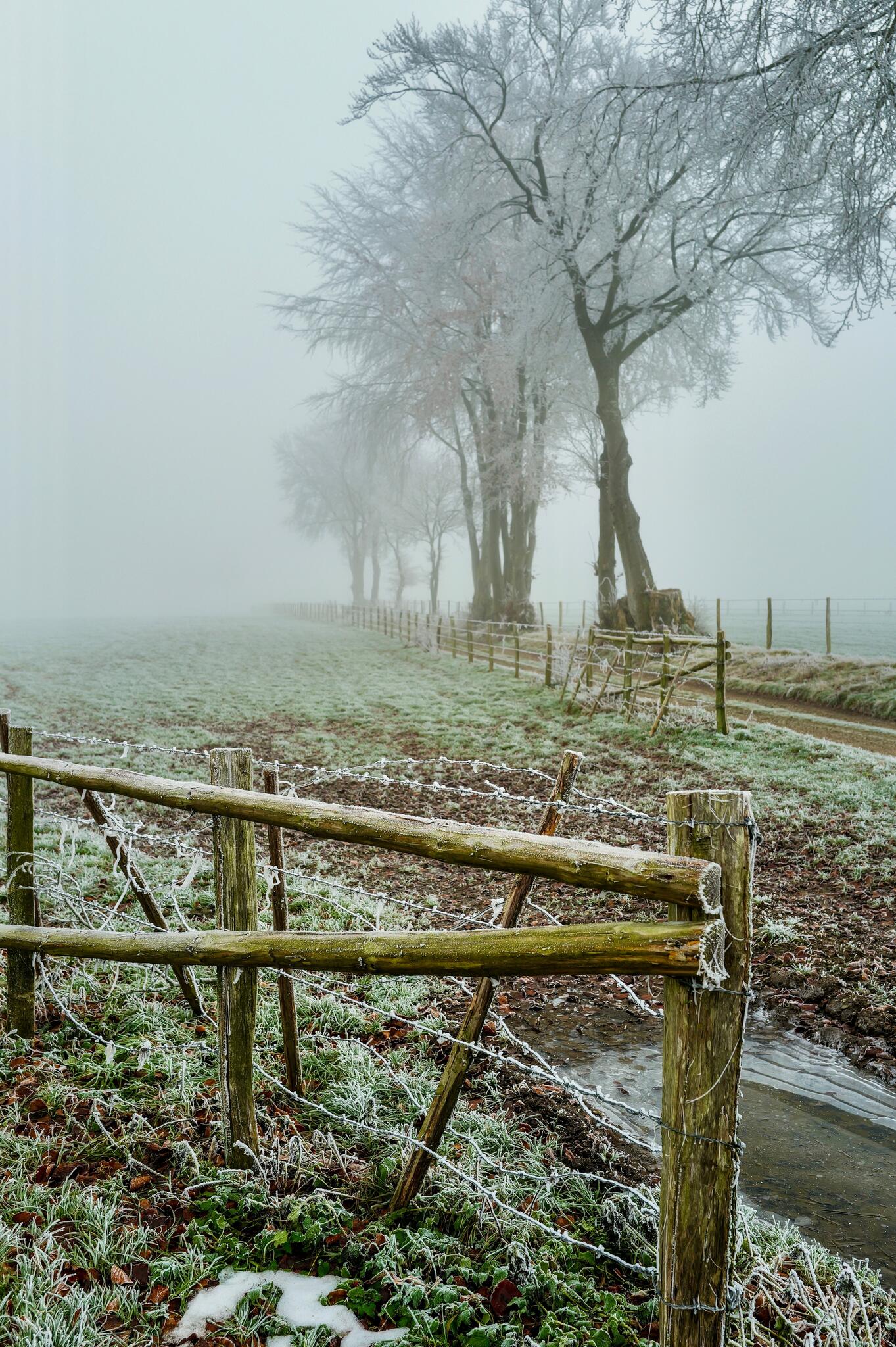 Le givre est bien présent et nous offre un beau spectacle visuel [Photo de Jean-Marc Lousberg]