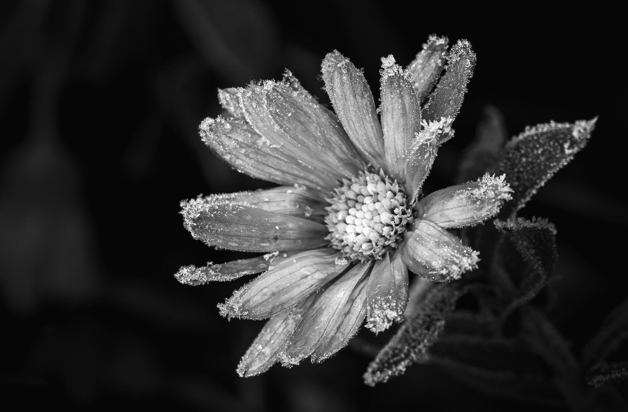 Sur la route [Photo de Mauricette Martin]