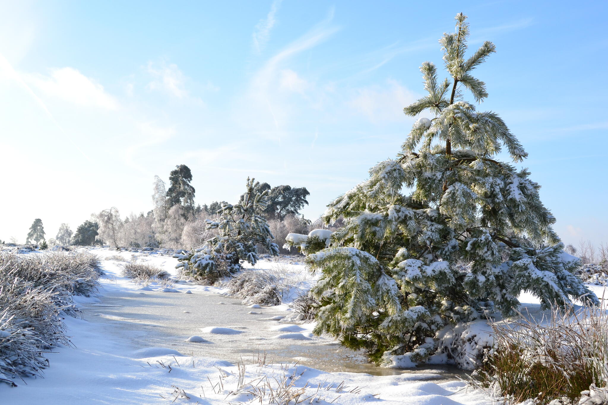 Sans titre [Photo de Nicolas Impens]