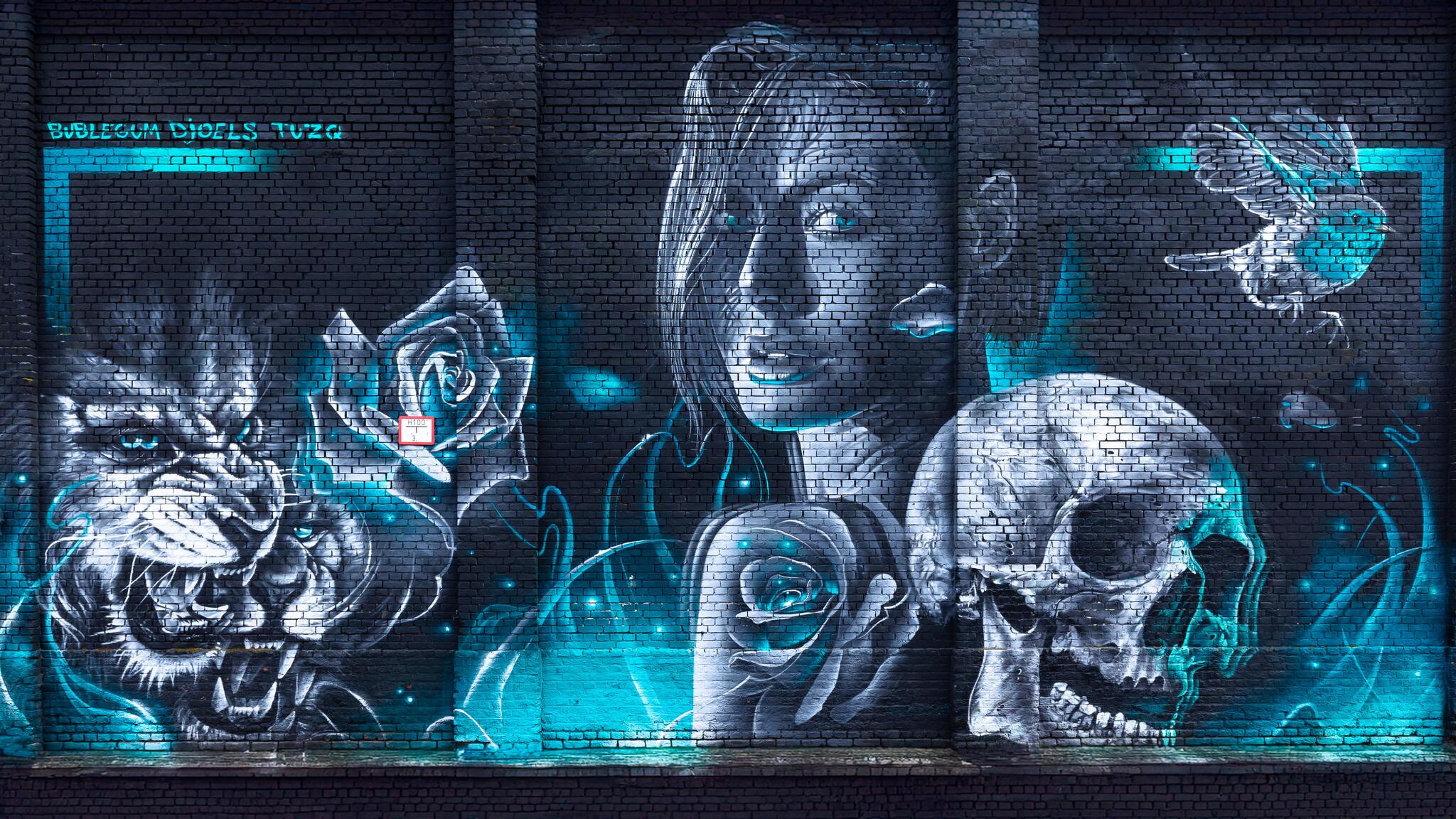 Artistes : Djoels, Bublegum et TUZQ [Photo de Nathalie Aubecq]