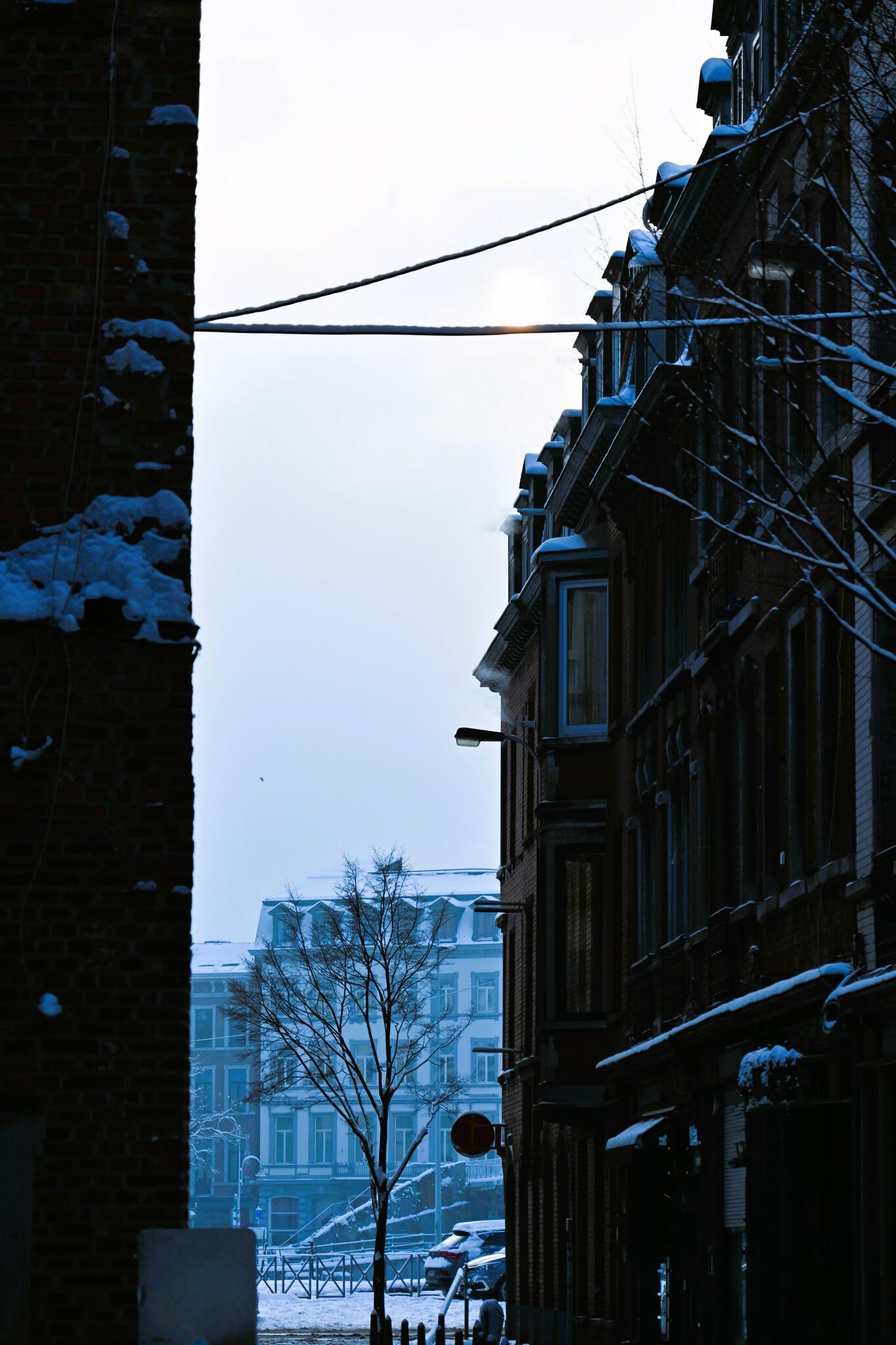 A l'aube [Photo de Pierre Gonda]