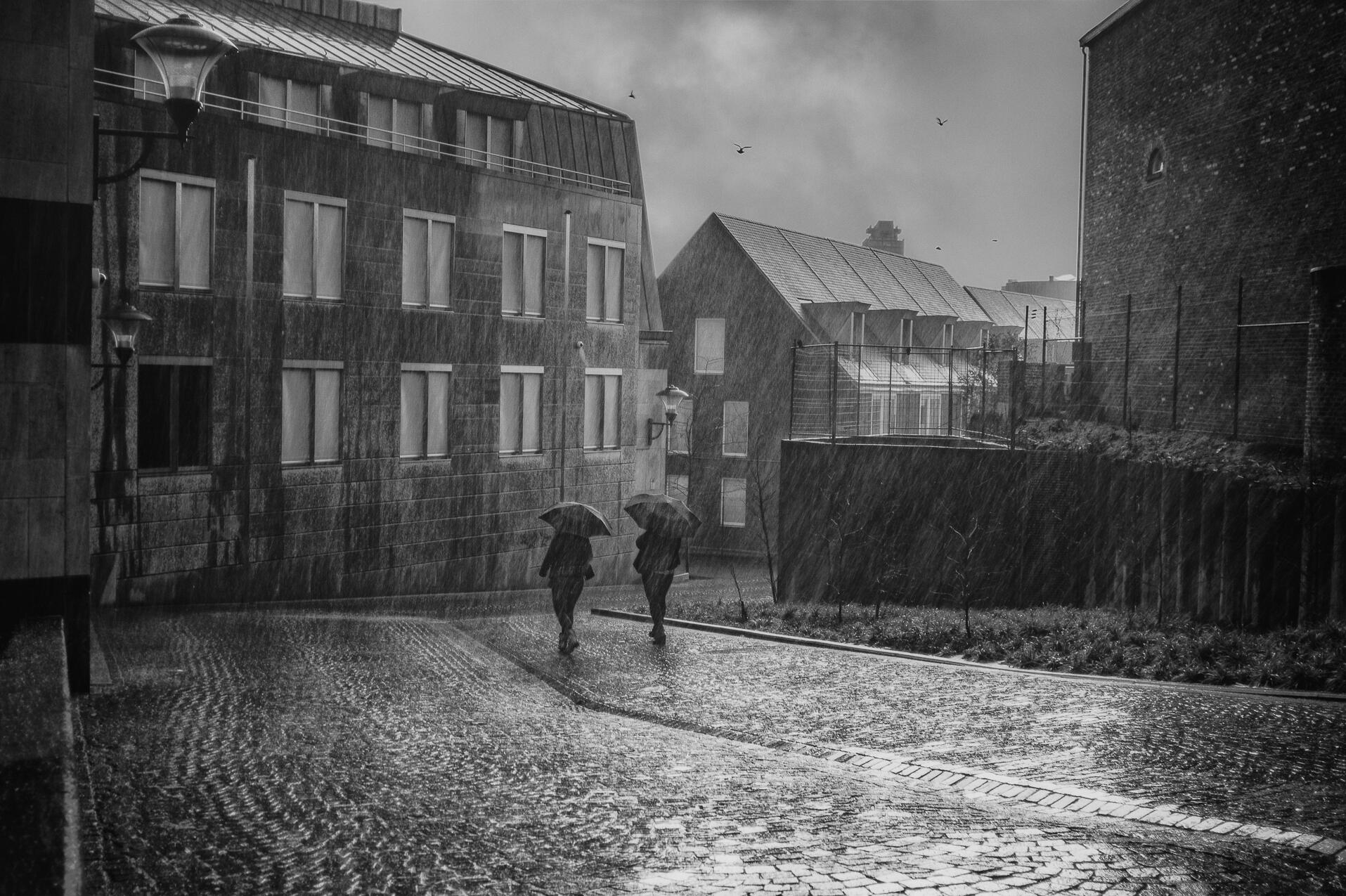 Sous la "drache" [Photo de Alain Leonard]