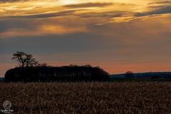 Couché de soleil Condroz 