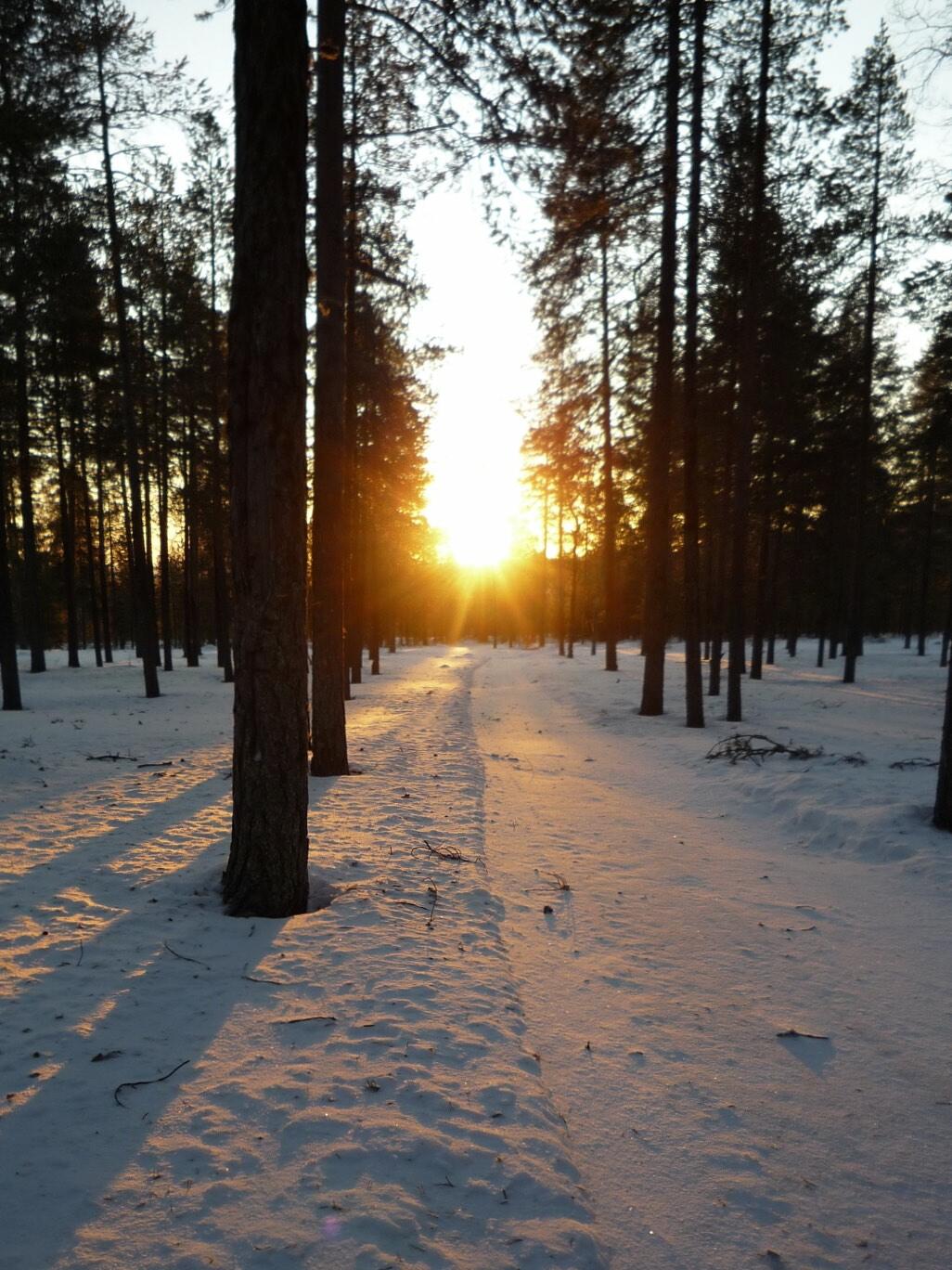 Lever de soleil à 11h33, Laponie finlandaise [Photo de Sophie Thiry]