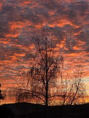 Magique Lever de Soleil. La nature s'éveille 