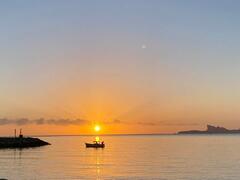 Retour de pêche à La Madrague