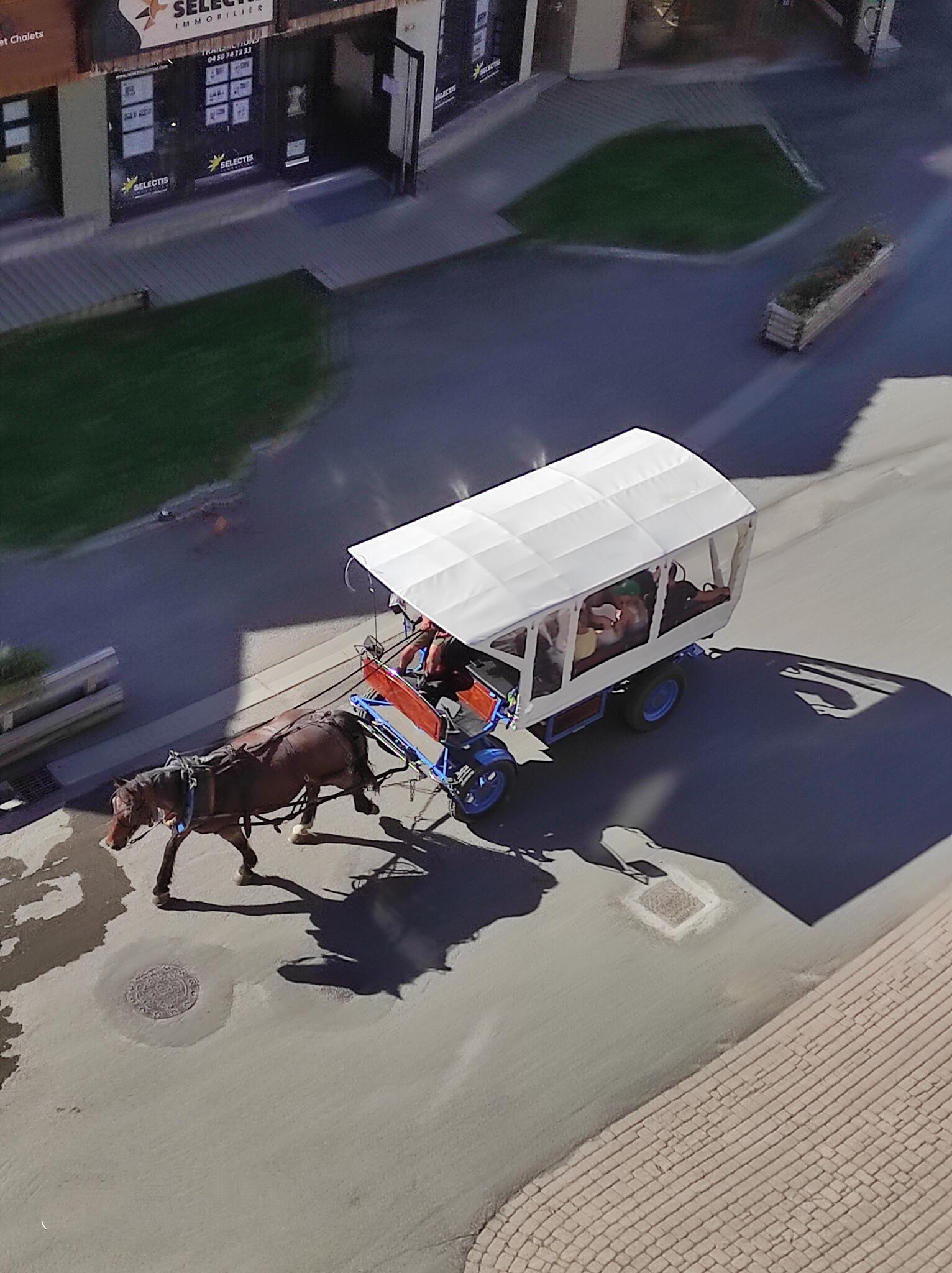 Promenade en calèche Avoriaz [Photo de Claudine Strohm]