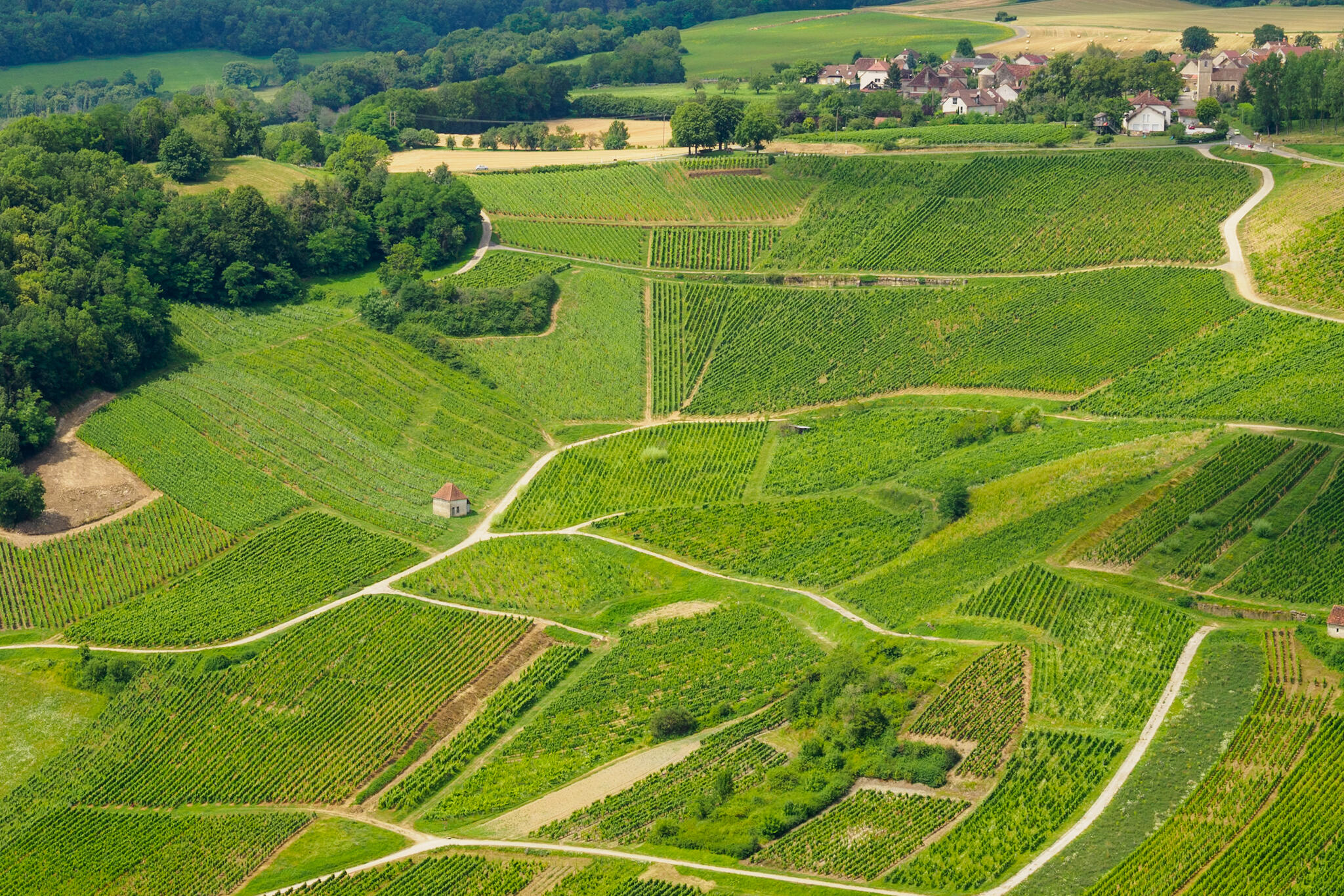 Patchwork de vert [Photo de Valérie Beauvais]