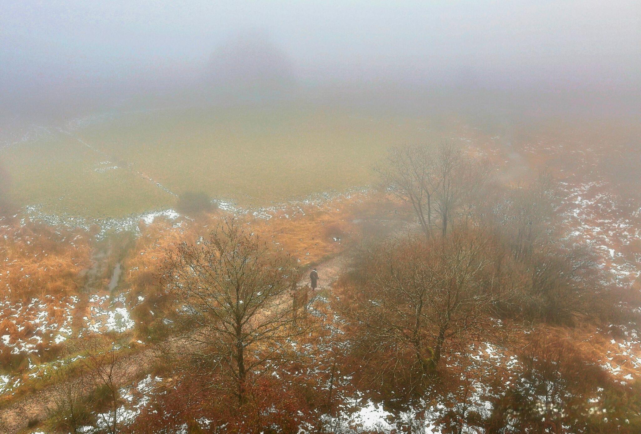 Cocon de brume [Photo de Jeannine Sacre]