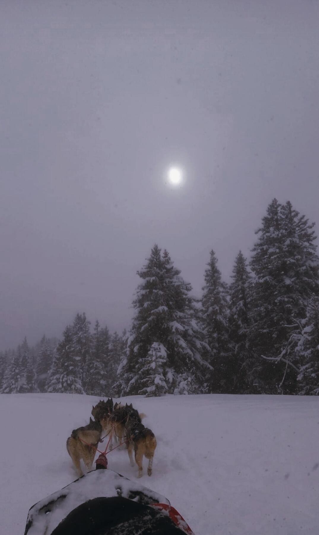 Vertige sur le tapis blanc