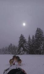 Vertige sur le tapis blanc