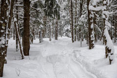Le plaisir de l&rsquo;hiver