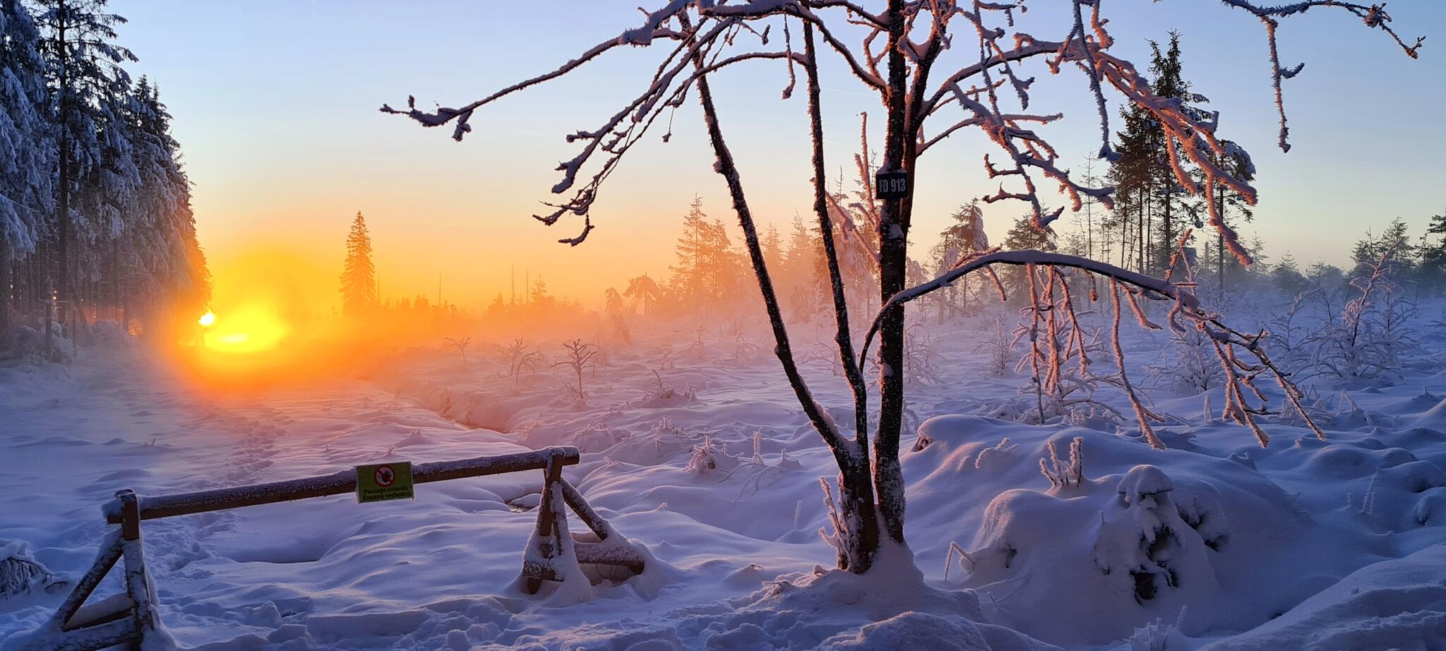 Couch&eacute; de soleil sur la Fagnes