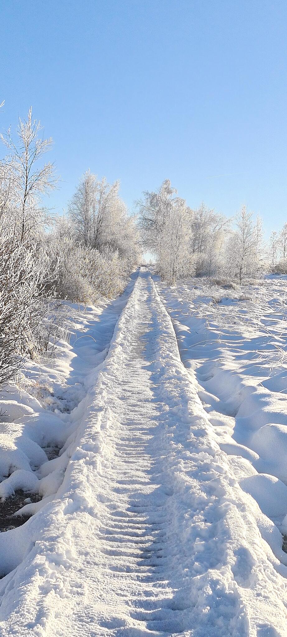 Caillebotis de Brakvenn