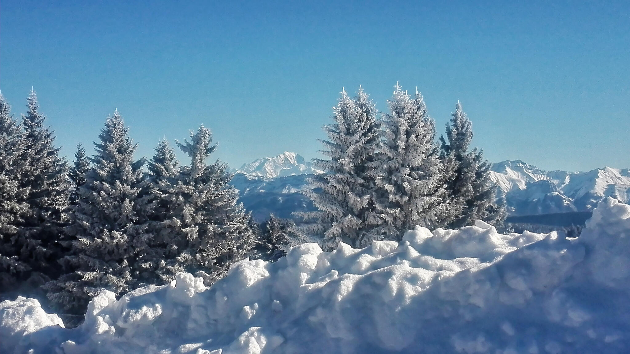 C'est la saison du blanc