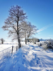 J'entends encore le crissement de la neige...