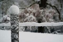 Fronti&egrave;re blanche