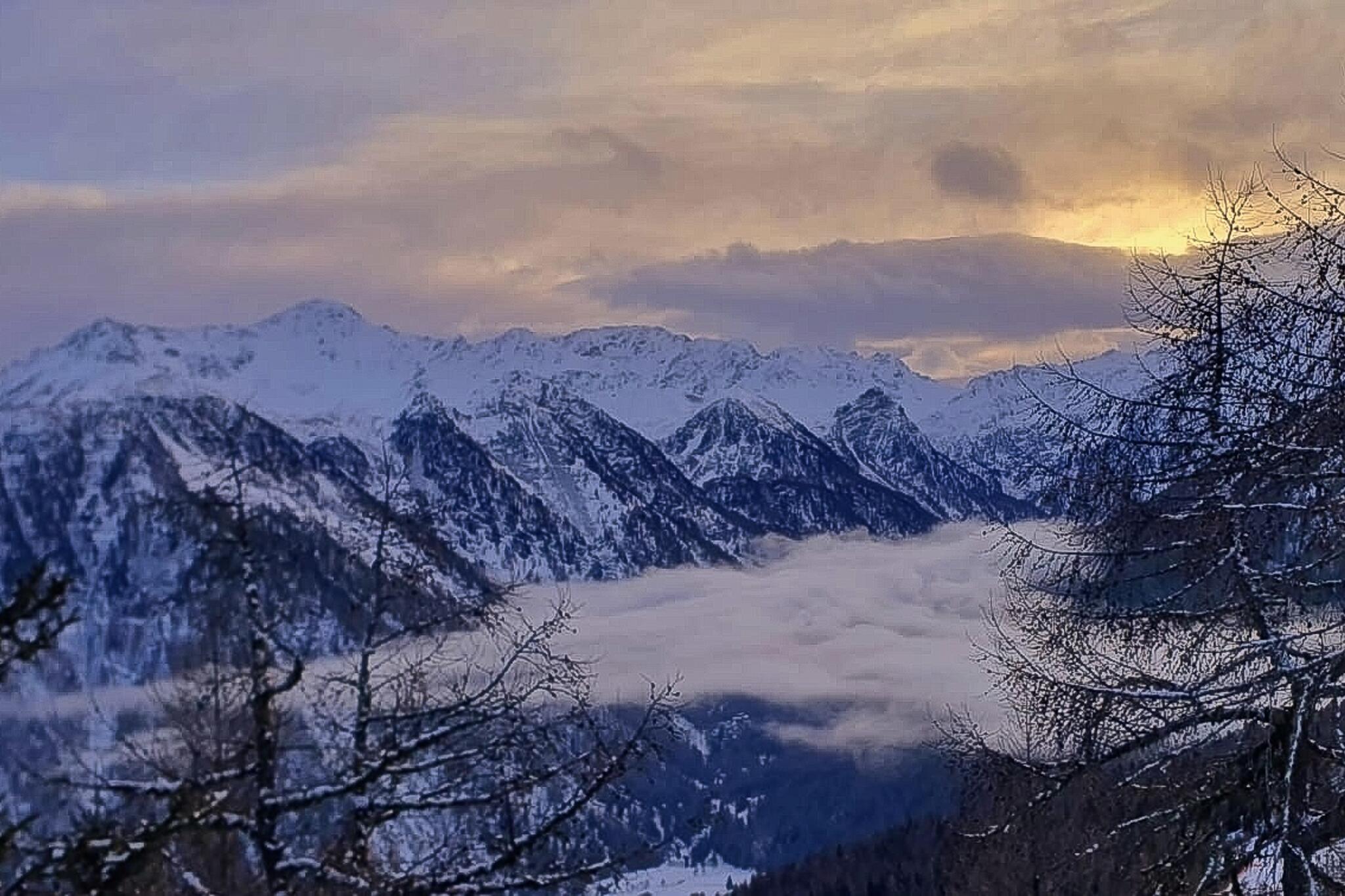Le silence des c&icirc;mes