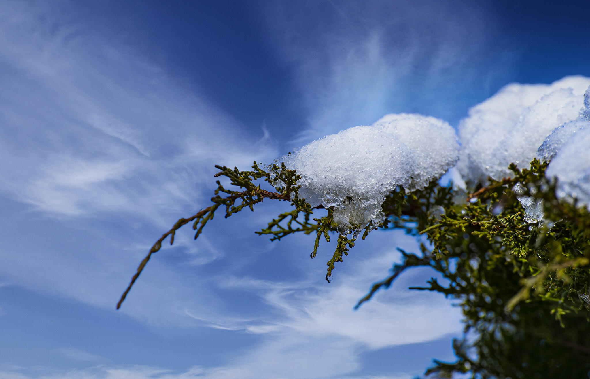 Neige perch&eacute;e