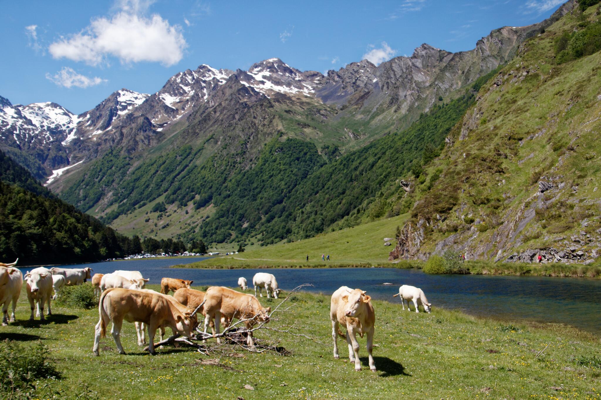 Le lac d'Estaing et ses massifs pyr&eacute;n&eacute;ens