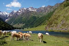 Le lac d'Estaing et ses massifs pyr&eacute;n&eacute;ens