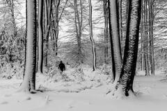 L'homme, passager de l'hiver !