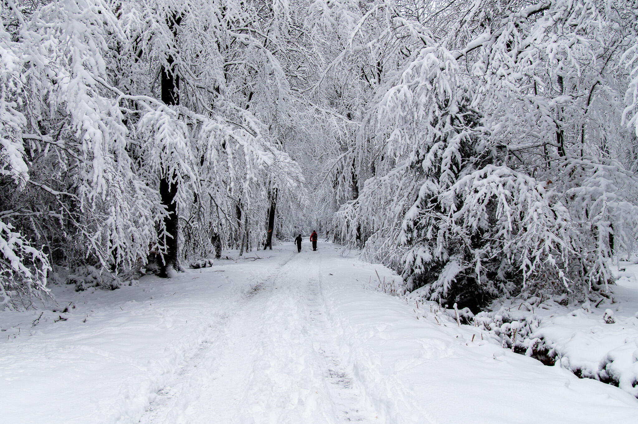 une silhouette et l'infini !