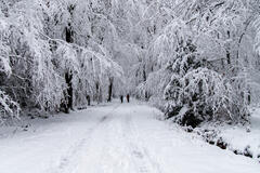 une silhouette et l'infini !