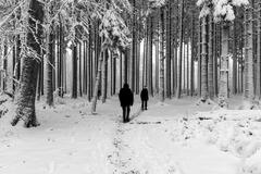 La for&ecirc;t nous regarde passer !