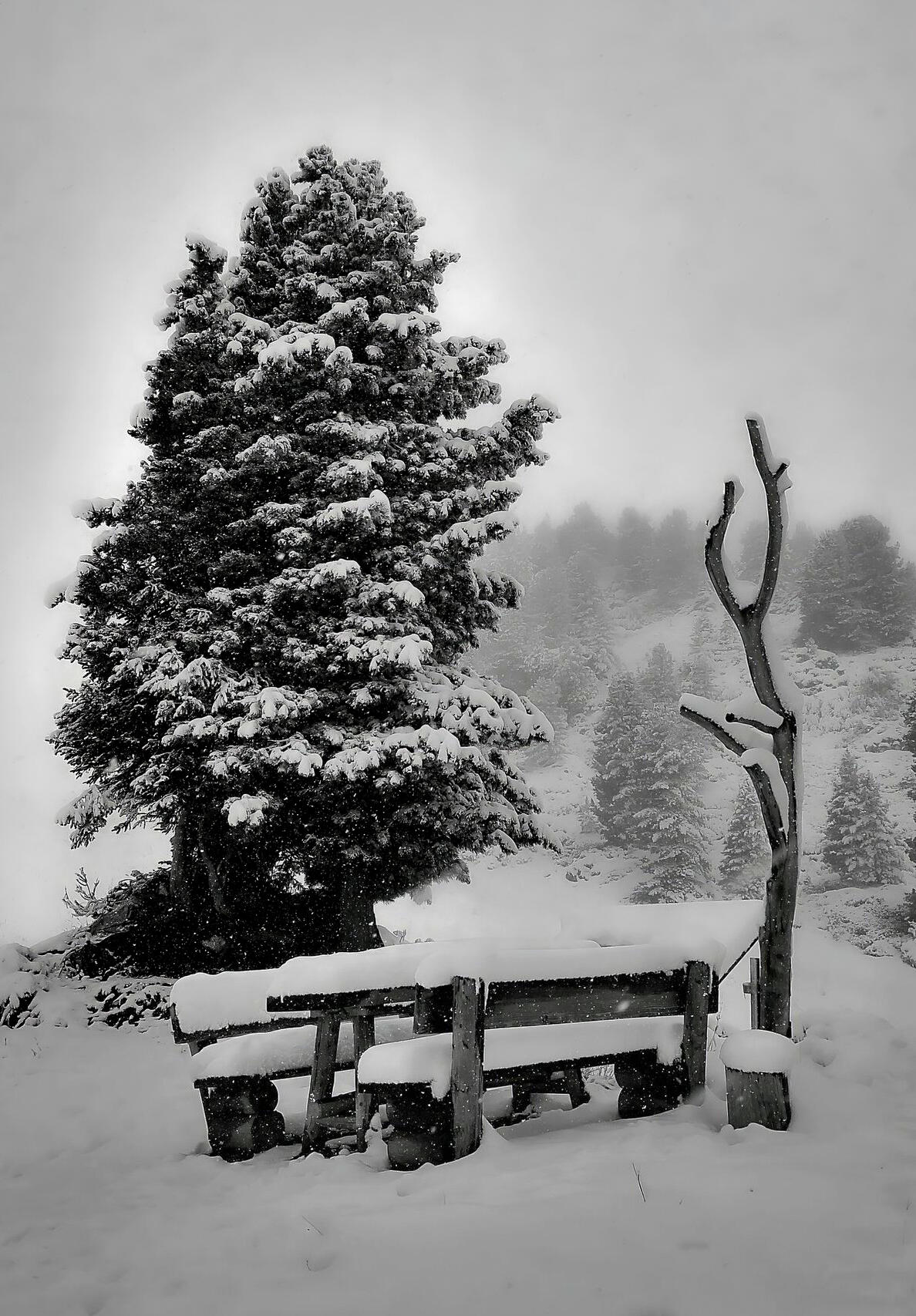 Banc sous la neige...