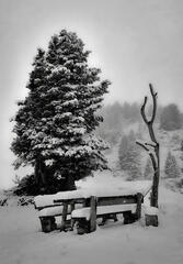 Banc sous la neige...