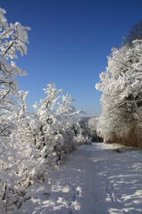Chemin d'hiver