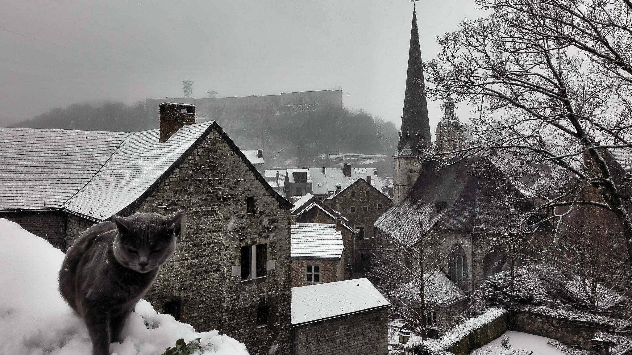 Huy sous la neige...et Lily semble ne pas appr&eacute;cier