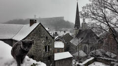Huy sous la neige...et Lily semble ne pas appr&eacute;cier