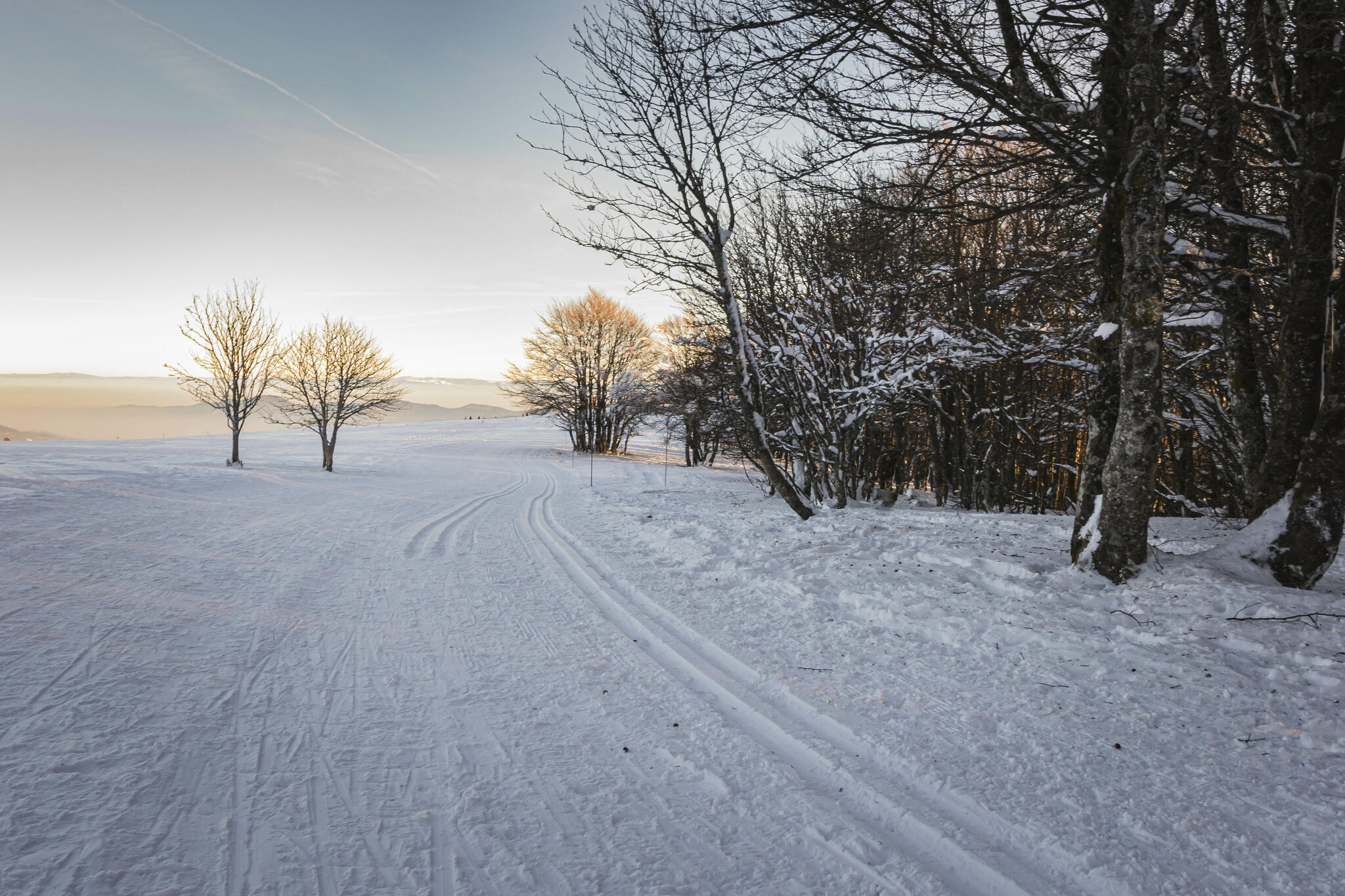 Un apr&egrave;s-midi vosgien