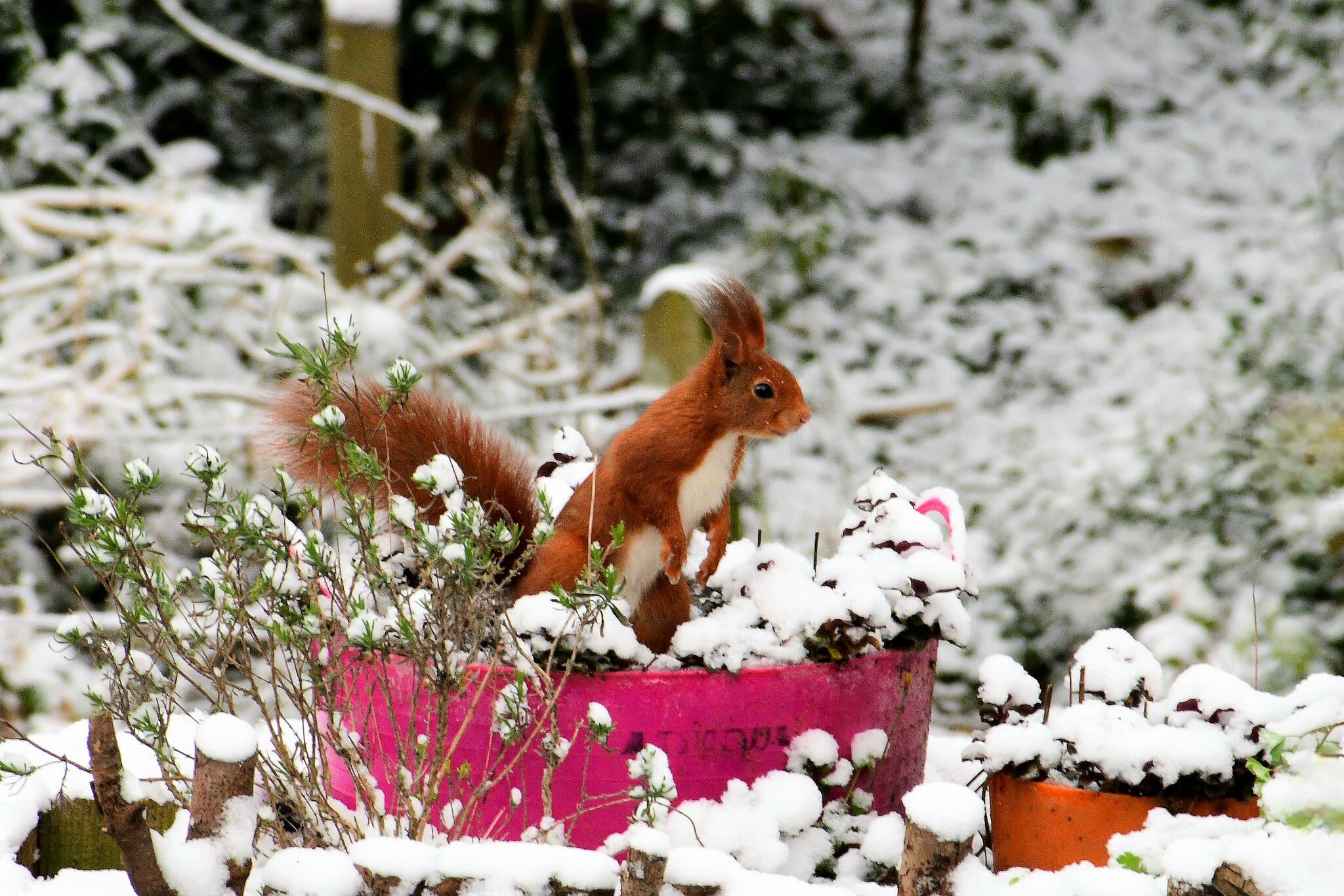 Que s'est-il pass&eacute; cette nuit ?