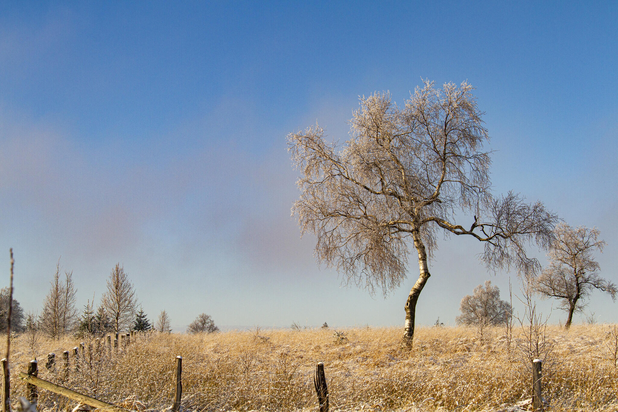 s&eacute;r&eacute;nit&eacute;