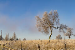 s&eacute;r&eacute;nit&eacute;