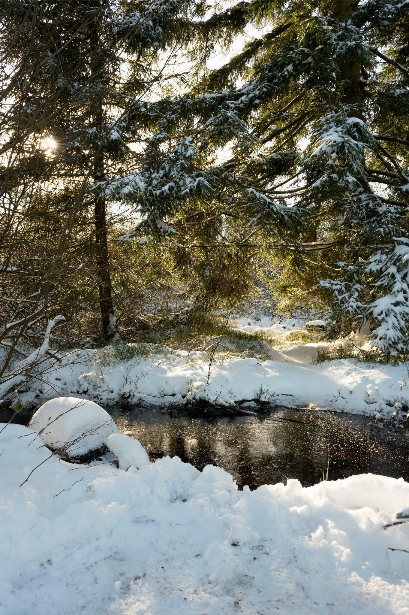 Ray de lumi&egrave;re